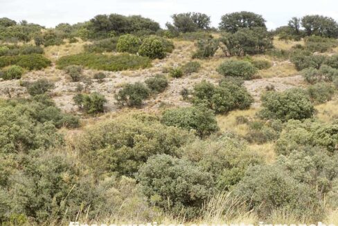 688_fincas-en-venta-06