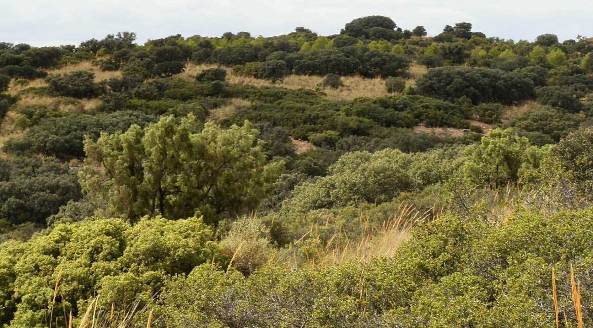 688_fincas-en-venta-07