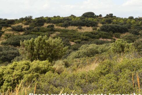 688_fincas-en-venta-07