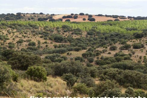 688_fincas-en-venta-08