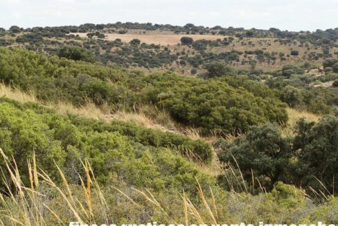 688_fincas-en-venta-09