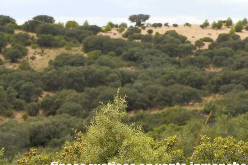 688_fincas-en-venta-10