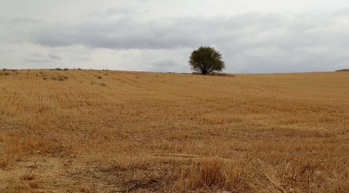 688_fincas-en-venta-68