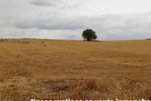 688_fincas-en-venta-68