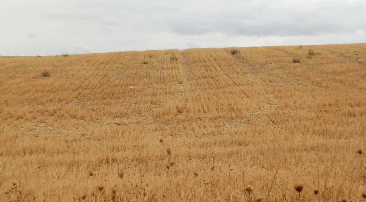 688_fincas-en-venta-69