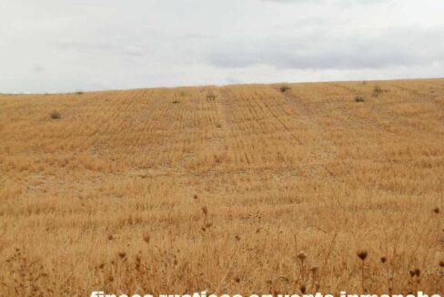 688_fincas-en-venta-69