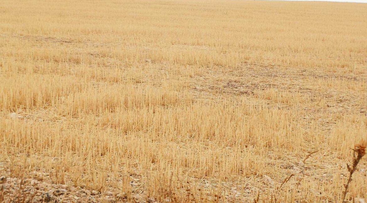 688_fincas-en-venta-70