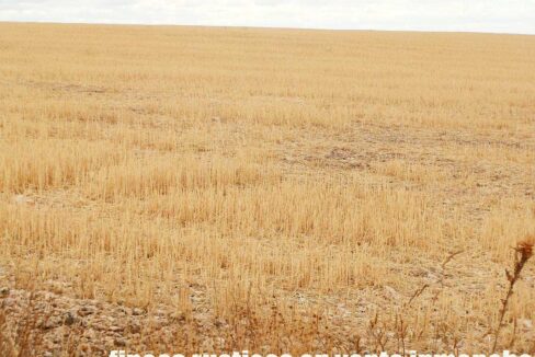 688_fincas-en-venta-70