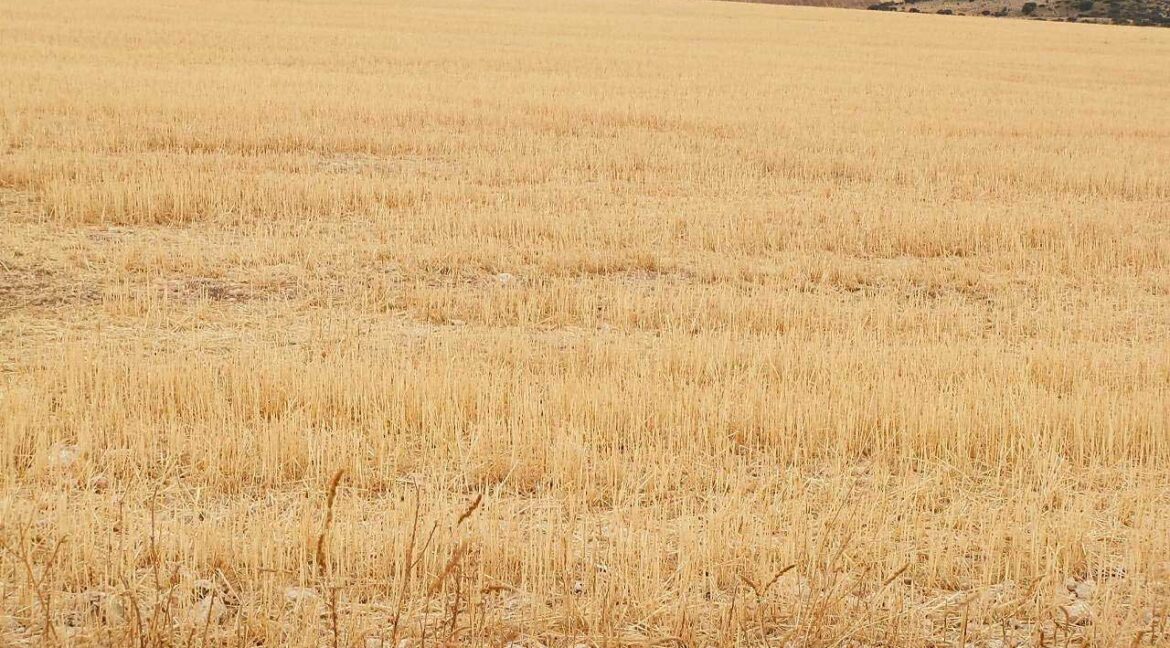 688_fincas-en-venta-71