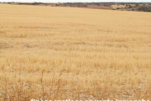 688_fincas-en-venta-71