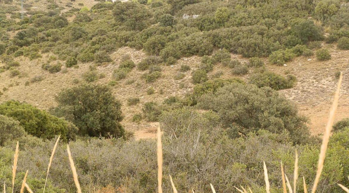 688_fincas-en-venta-78