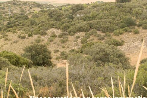 688_fincas-en-venta-78