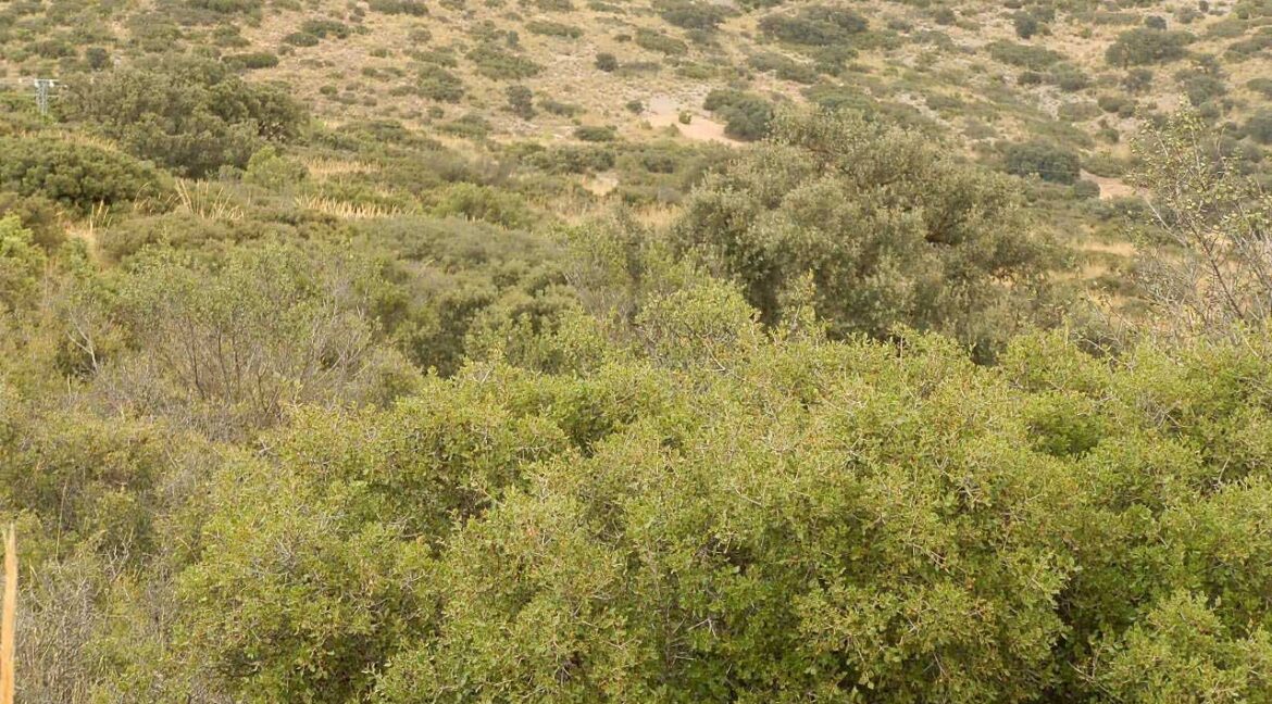 688_fincas-en-venta-79