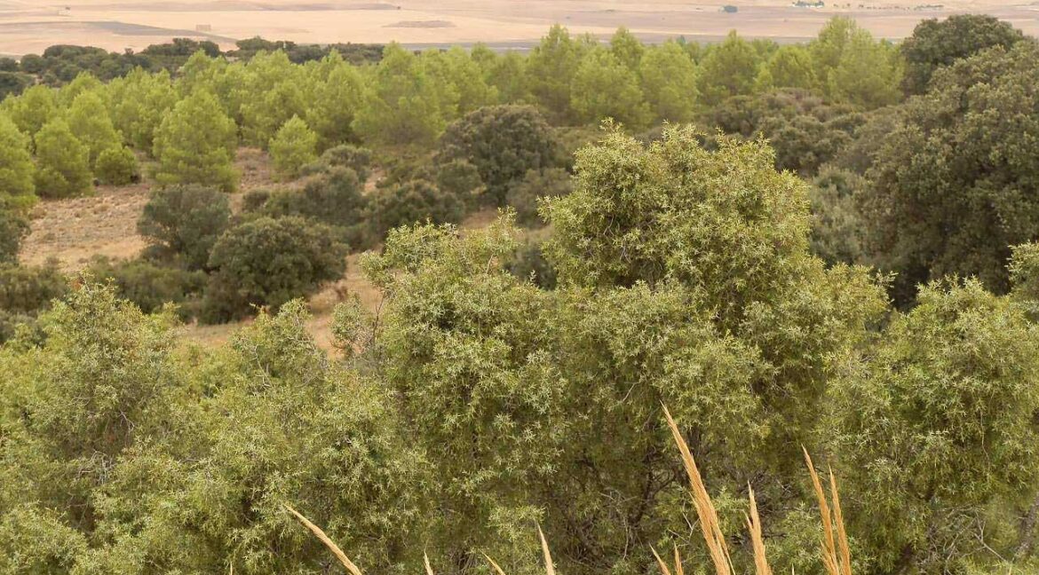 688_fincas-en-venta-80