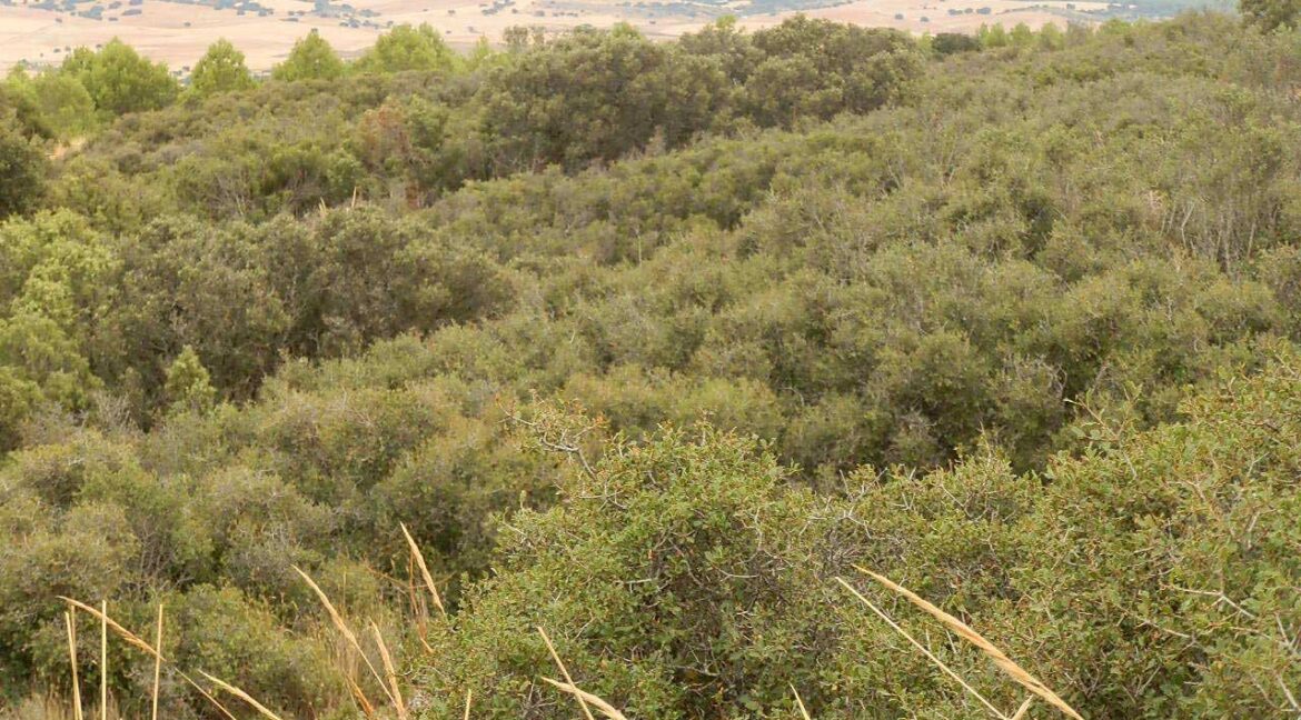 688_fincas-en-venta-81