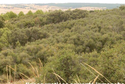 688_fincas-en-venta-81