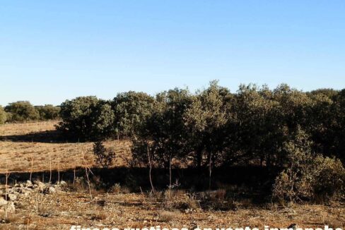 689_fincas-en-venta-05
