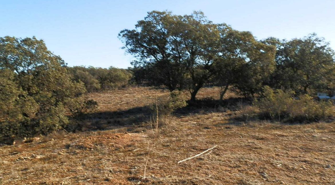 689_fincas-en-venta-06