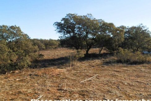 689_fincas-en-venta-06