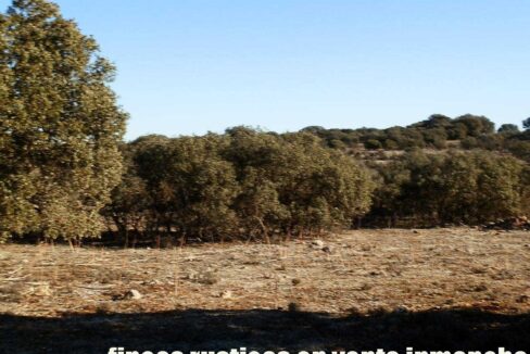 689_fincas-en-venta-07