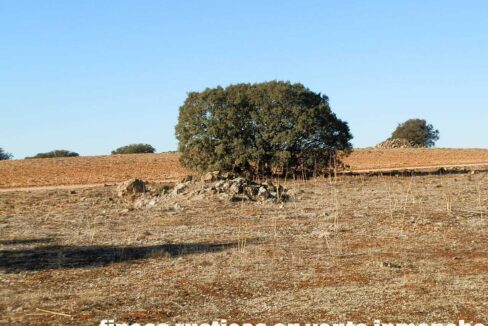 689_fincas-en-venta-08