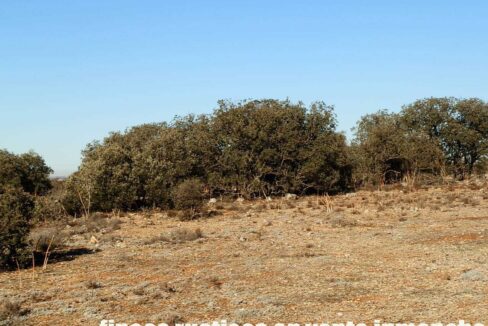 689_fincas-en-venta-12