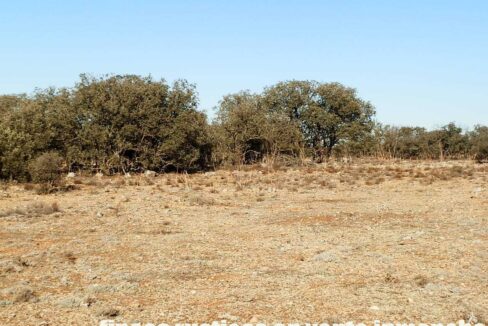 689_fincas-en-venta-13