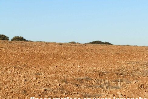 689_fincas-en-venta-15