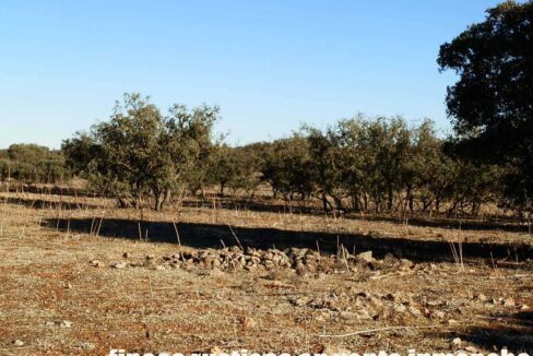 689_fincas-en-venta-17