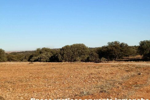 689_fincas-en-venta-18