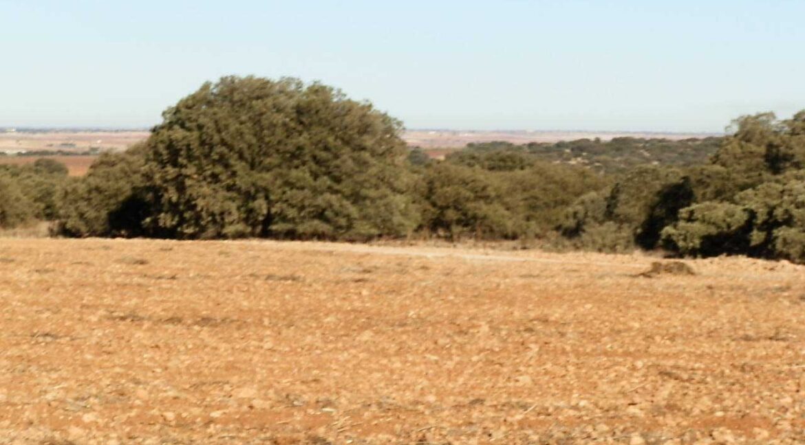 689_fincas-en-venta-19