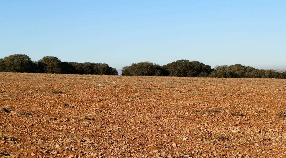 689_fincas-en-venta-20