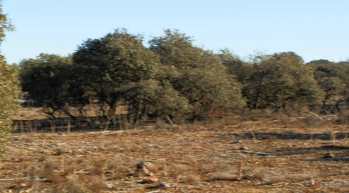 689_fincas-en-venta-21