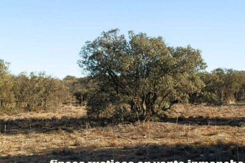 689_fincas-en-venta-22