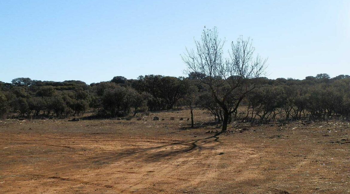 689_fincas-en-venta-24