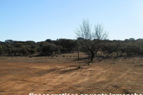 689_fincas-en-venta-24