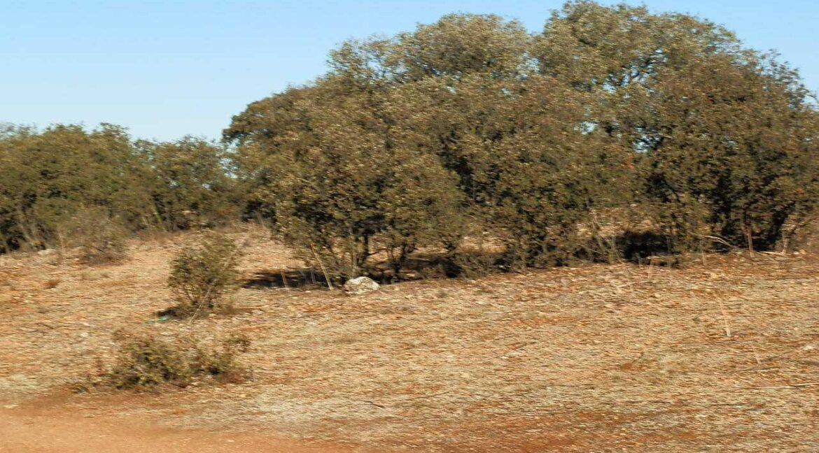 689_fincas-en-venta-25