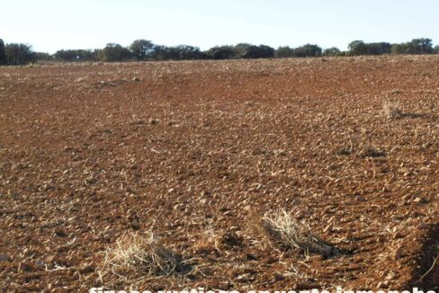 689_fincas-en-venta-26