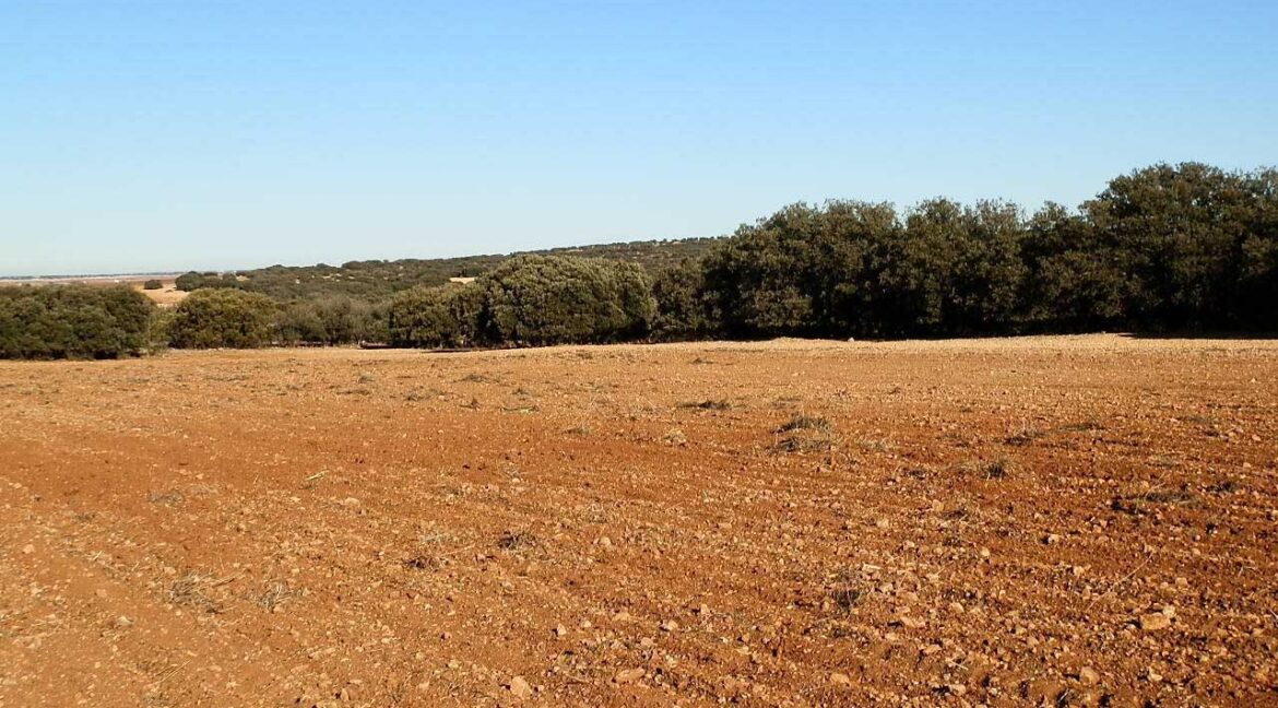 689_fincas-en-venta-28