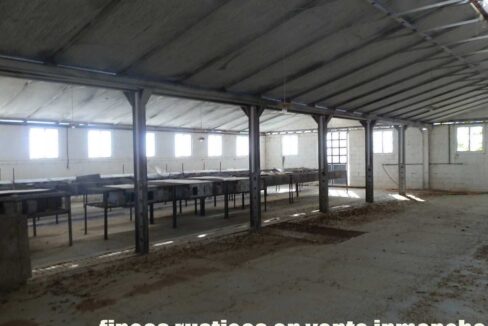 690_fincas-en-venta-24