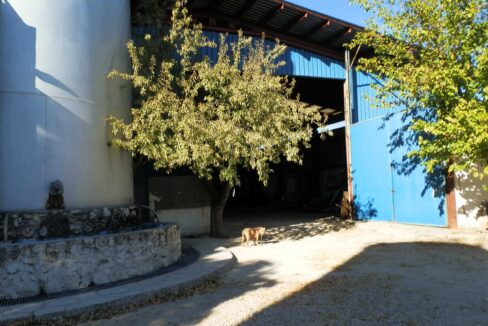 690_fincas-en-venta-27