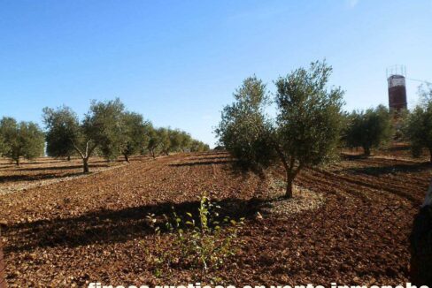690_fincas-en-venta-42