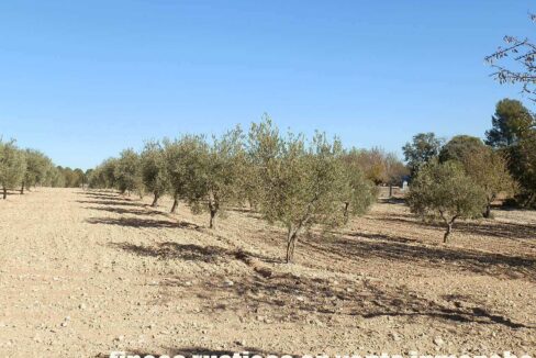 690_fincas-en-venta-47