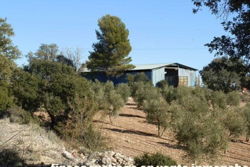 690_fincas-en-venta-48