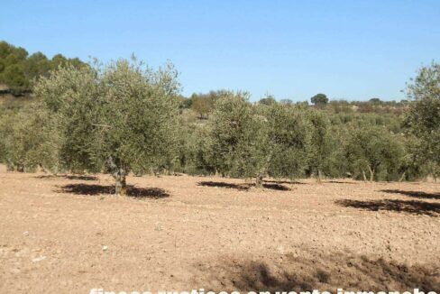 690_fincas-en-venta-53