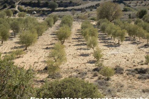 690_fincas-en-venta-57