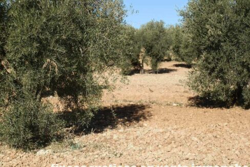 690_fincas-en-venta-61