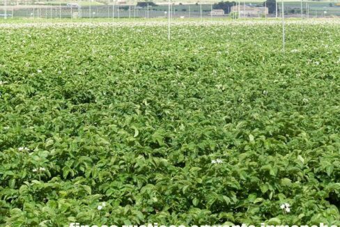 691_fincas-en-venta-45