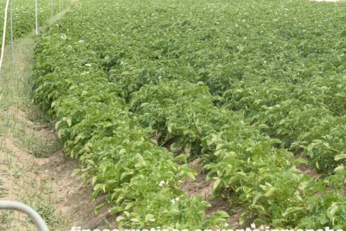 691_fincas-en-venta-46