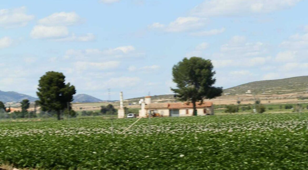 691_fincas-en-venta-47